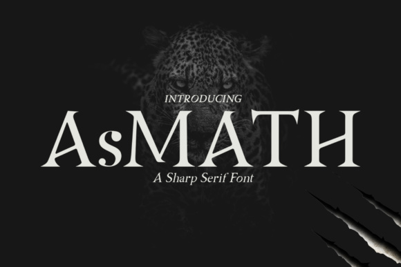 Asmath: A Real-World Designer Review