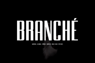 Branche: A Sturdy Sans Serif Display Font for Branding