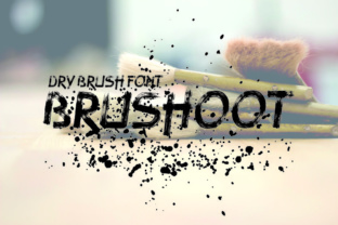 Brushoot: A Real-World Review for Designers