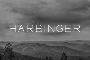 Harbinger: The Wide Sans Serif Font for Bold Campaigns