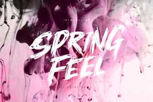 Springfeel: A Dynamic Display Font for Bold Campaigns